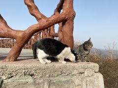 -北京西山国家森林公园