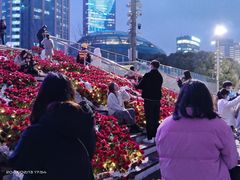 -上海港国际客运中心