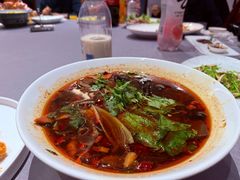 -丁老爷子苏香圆