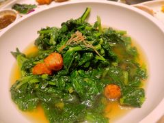 上汤菜苗-金苑海鲜酒家(来魅力店)