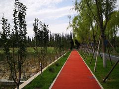 -永定河休闲森林公园