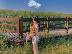-西青郊野公园