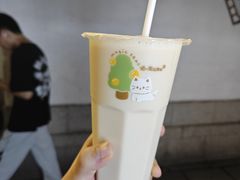 -猫的魔法密林(衣裳街店)