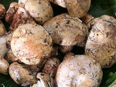 -黔蘑菇四季餐厅(观山湖店)