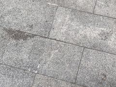 -复旦大学附属中山医院(西院区)