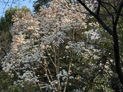 -中国茶叶博物馆(双峰馆区)