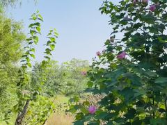 -盘龙城遗址博物院