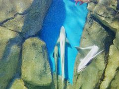 -福州罗源湾海洋世界旅游区