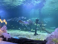 -常州海昌海洋探索馆