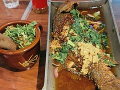 -树厨贵州菜(花果园购物中心店)