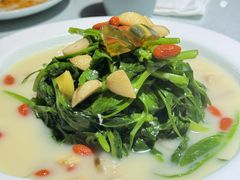 -阿西娅食府(中关村店)