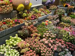 -香炉礁家具市场