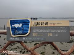-霞山观海长廊