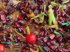 -老板恋上鱼(恒隆广场店)