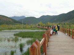 -泸沽湖国家级风景名胜区走婚桥