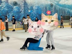 -世界之窗阿尔卑斯冰雪世界