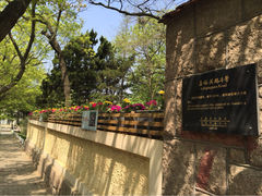 八大关景区-八大关景区