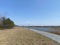 -春花秋色城市公园