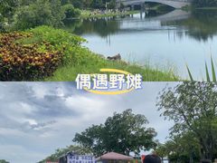 -宝安西湾红树林湿地公园