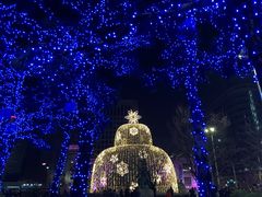 -新世界百货(明洞总店)