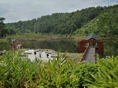 -神光山国家森林公园