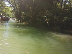 -九曲溪竹筏码头