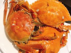 -半岛听涛蒸汽海鲜自助(K11店)