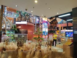 -卡通尼·Safari非洲探索乐园·生日会(金桥国际商业广场店)