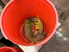 -阿忠食坊大排档·20年老店(万象城店)