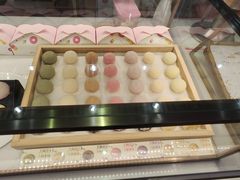 -西树泡芙(凯德晶品店)