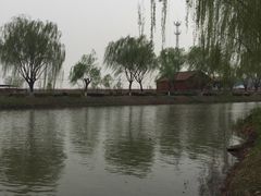 -白洋淀景区