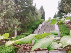 -西安青龙寺遗址景区