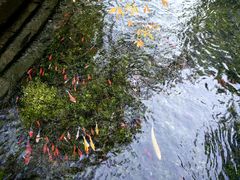 -水磨沟公园