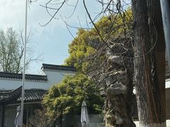 -日出青木