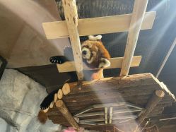 -Zoolung Zoolung动物主题公园(海信广场店)