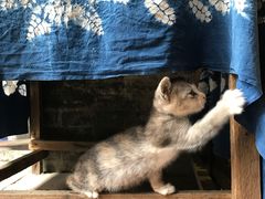 -老屋咖啡
