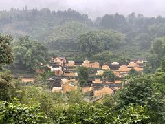 -杨家堂村