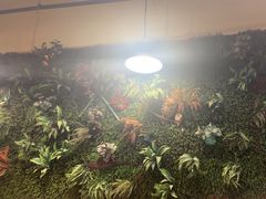 -味之绝热血美蛙鱼火锅(中坝店)