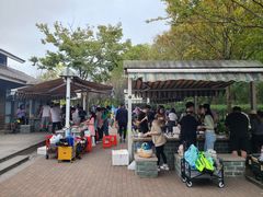 -吴淞炮台湾湿地森林公园烧烤区