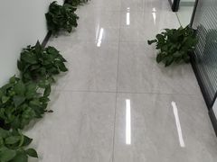 -新航道雅思托福·留学·考研培训(人民广场校区)