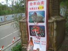 -火炉山森林公园