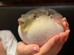 -永安鱼庄·镇江菜(东吴路店)