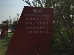 -武清南湖绿博园
