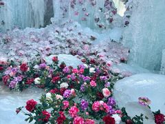 -洛阳白云山景区