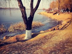 -丁香湖公园