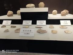 -浙江省博物馆(孤山馆区)