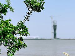 -上海吴淞炮台湾国家湿地公园