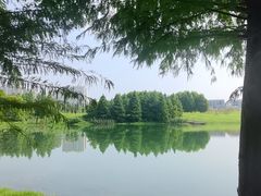 -洋湖国家湿地公园