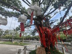 -南沙天后宫景区
