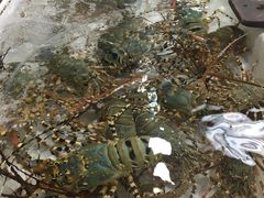 -班赞海鲜市场